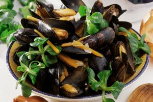 moules potagères