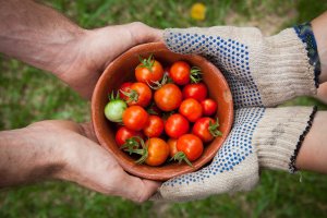 précarité alimentaire