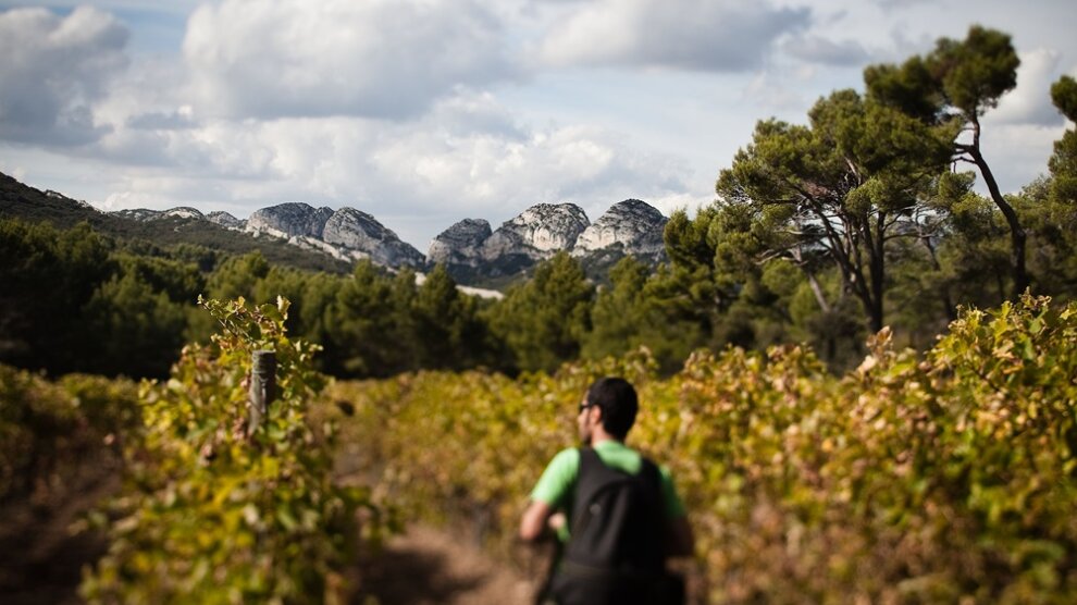 L'intelligence artificielle comme outil d'accueil touristique en Provence