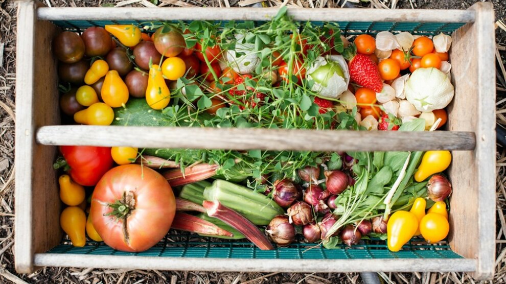 Des légumes vendus au Min des Arnavaux