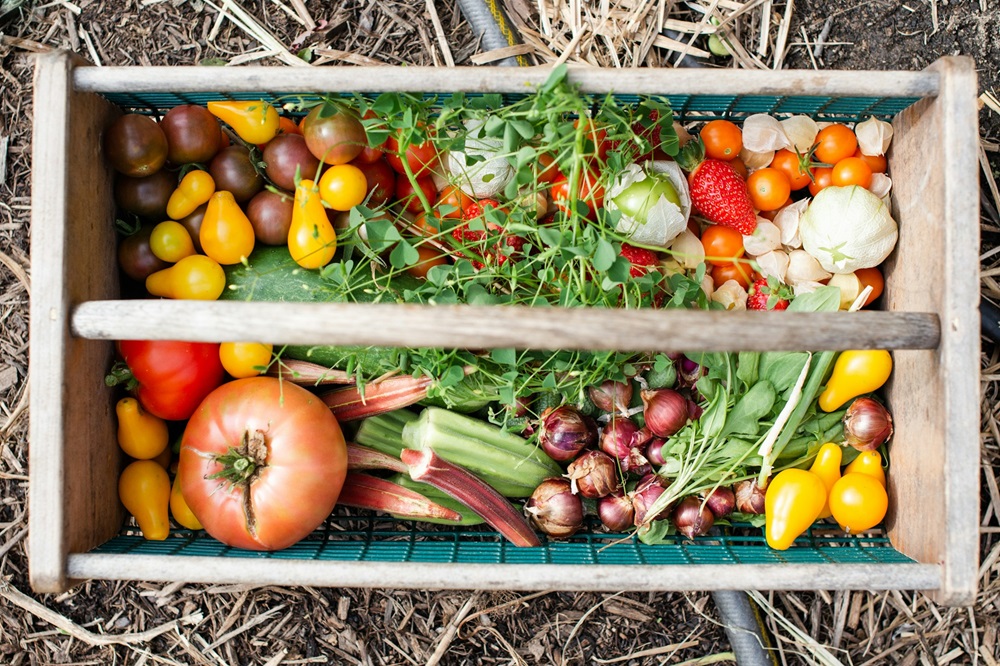 Des légumes vendus au Min des Arnavaux