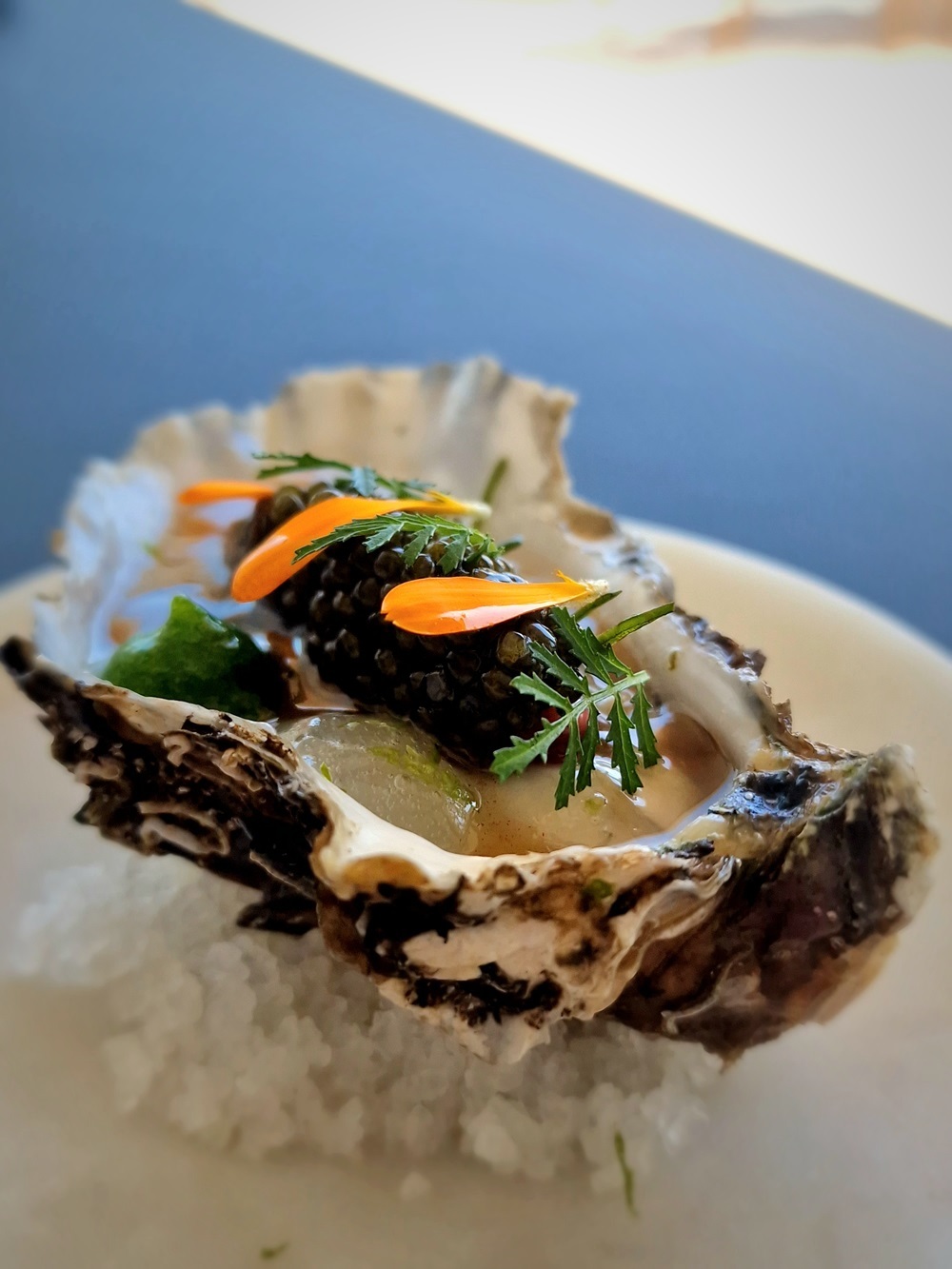 les huîtres servies au restaurant l'Oursin à Carry-le-Rouet