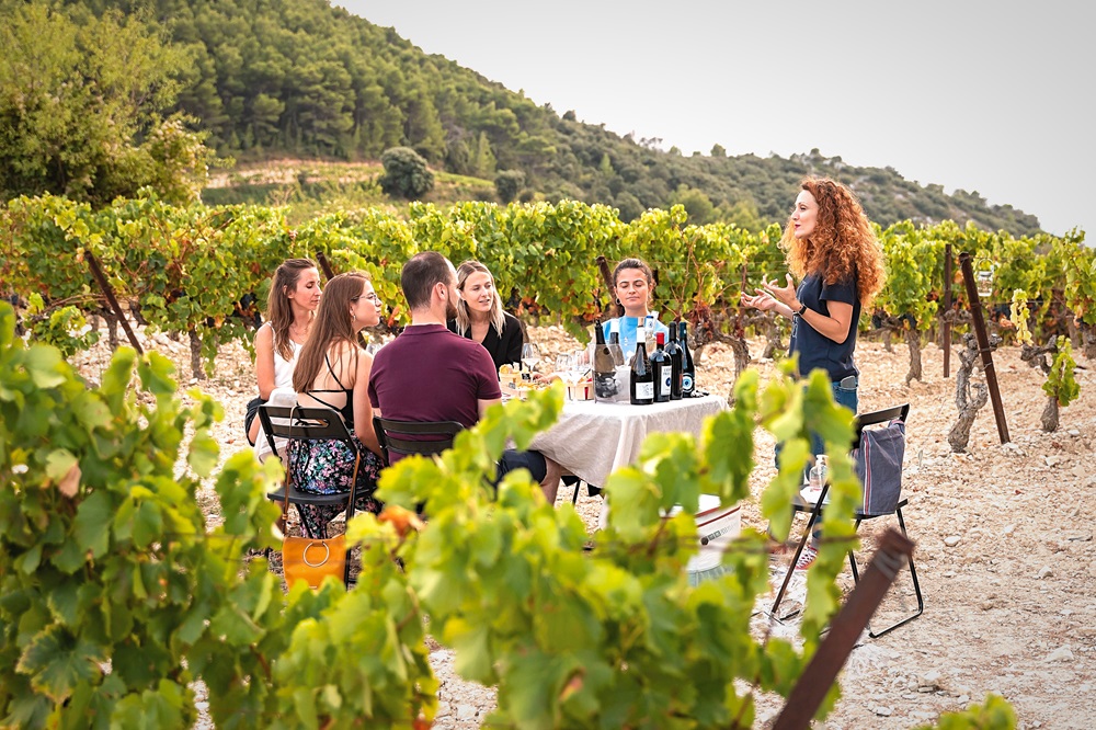 Festival Ventoux Saveurs 2024