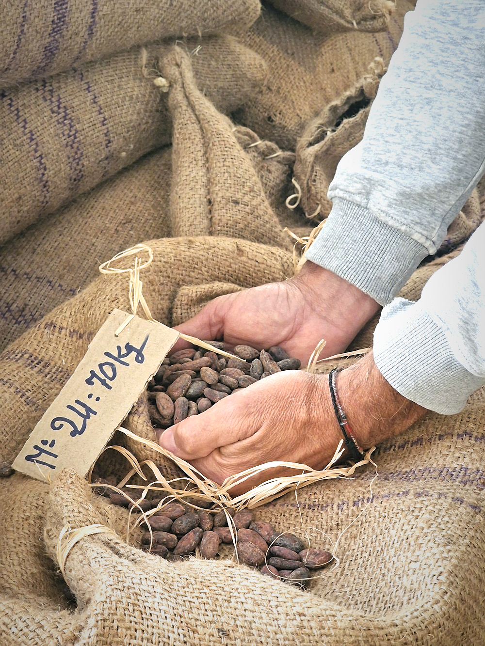 fèves de cacao chez Terrakoa à Marseille