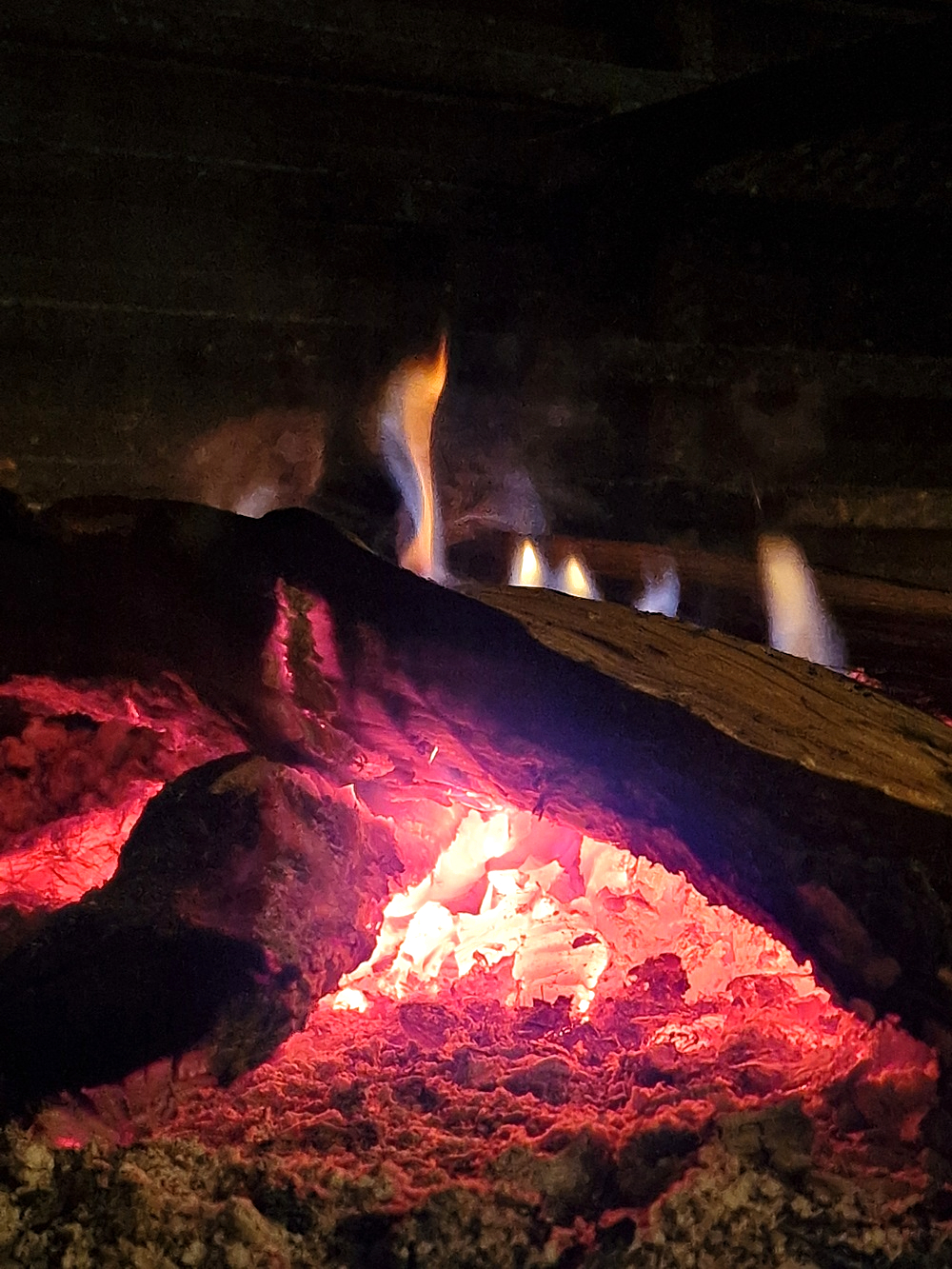 Un feu de bois